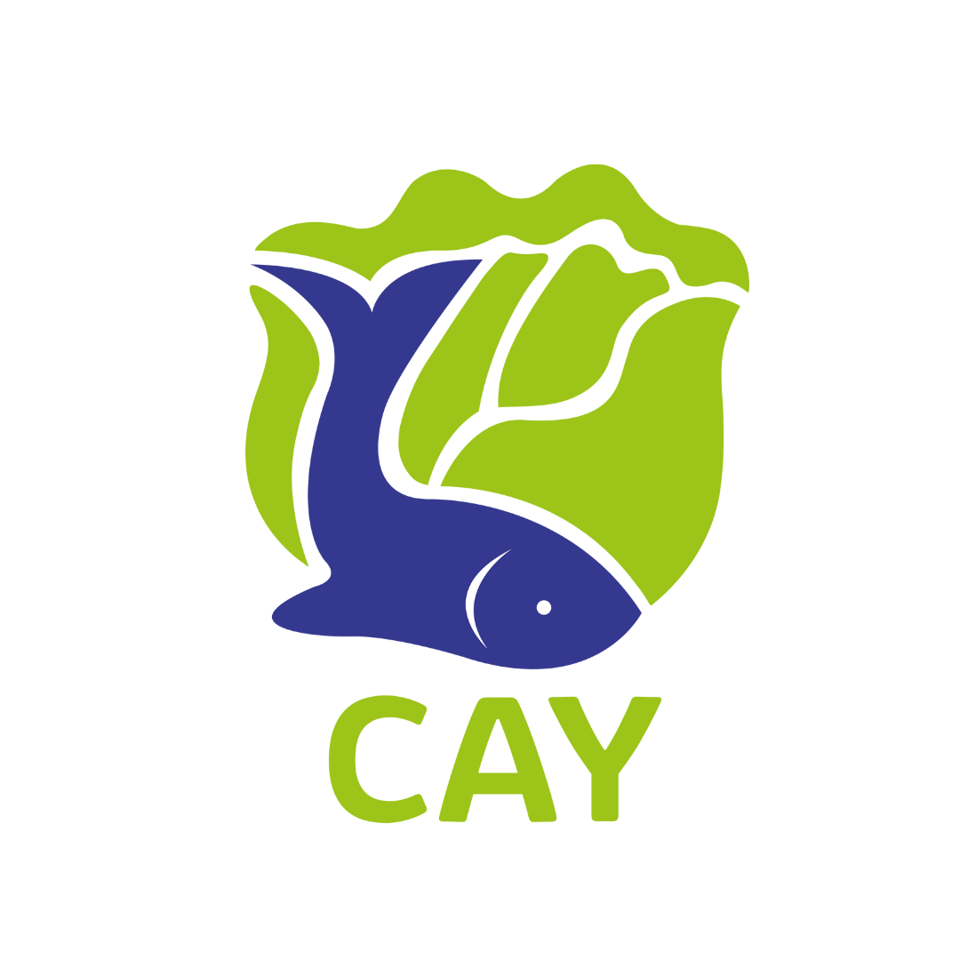 CAY Logo